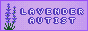 Lavender Autist